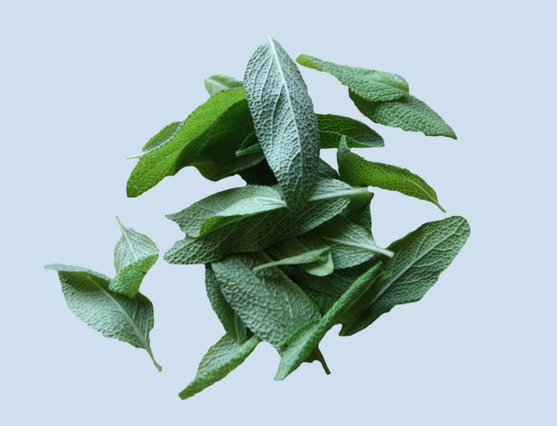Adaçayı (50 g)